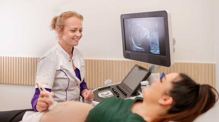 SUE 20 weeks (20-week ultrasound)